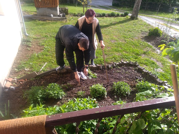 НАЈБОЉИ САЧ И ПОВРЋЕ: Богата синија у Руњанима

